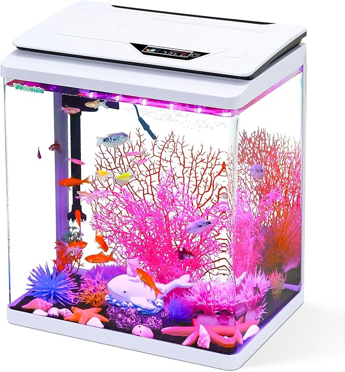8 Gallon High-Transparency Fish Tanks, Betta and Goldfish Tanks with Filter, Light, Seven-Color LED, Integrated Oxygenation, Filtration, and Circulation, and Aquarium Starter Kits-PawvioPets