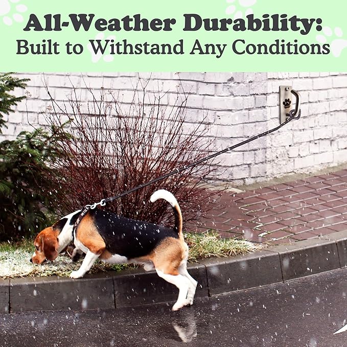 Canine Hitch- Secure Dog Leash Parking Mounted Indoor – Outdoor Wall Hook - Tie Out Stainless Steel Practical Lead Management for Home & Business, Standard Size 6 Pack-PawvioPets