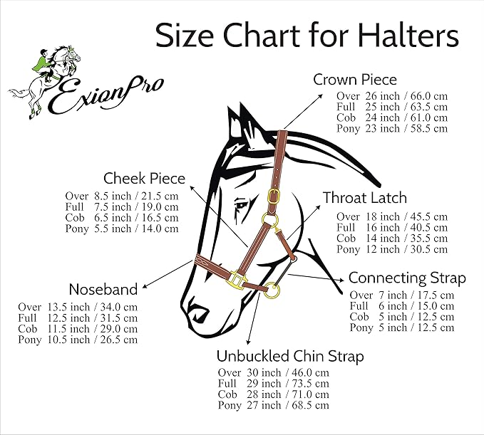 Exion Leather Horse Halter with Fancy Stitching | Black & Brown Padded Halter with Brass Hardware | Quick-Release Snap | Adjustable Leather Halter – Cob, Full, Over, Pony Sizes-PawvioPets