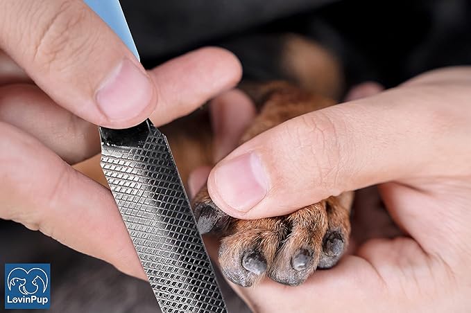 Dog Nail Filer, Professional Nail Grooming Tool, Dog and Cat Nail Files, for Smoothing Rough Edges of Pet’s Nails, Best Nail Filer for Small/Large Dogs & Cats (3 Dog Nail Filers Set)-PawvioPets
