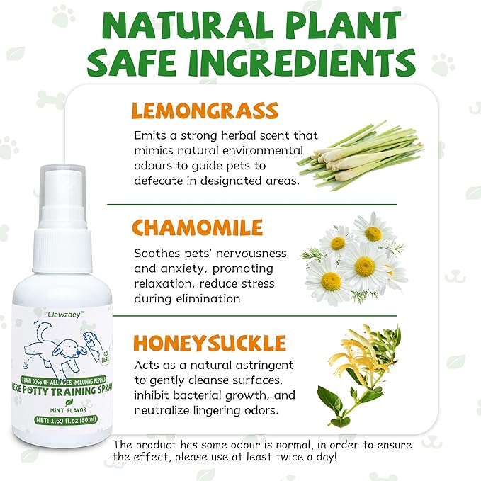 Dog Potty Spray Set, No-Go Spray & Potty Training Spray, Puppy Essentials, Stops Urination & Marking, Indoor and Outdoor Use (1.69 fl oz)-PawvioPets