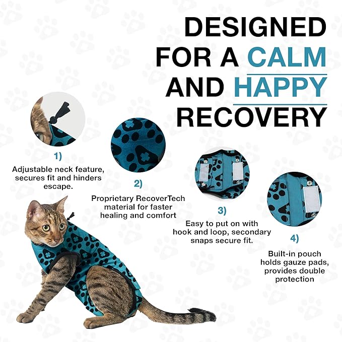 Bellyguard Cat Recovery Suit Female and Male, Comfy Onesie After Surgery, Kitten Clothes for Post-Op Care, Neuter and Spay Healing Outfits for Cats Only – Comfortable Kitten and Adult Cone Alternative-PawvioPets