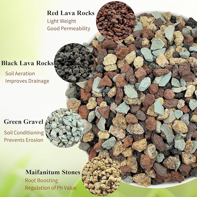 2 lbs Mix Horticultural Succulent Soil,1/4 Inch Pumice Gravel. Decorative Pebbles Lava Rock for Cactus, Bonsai, Orchid, Indoor Plants of Drainage, Ventilation and Root Growth-PawvioPets