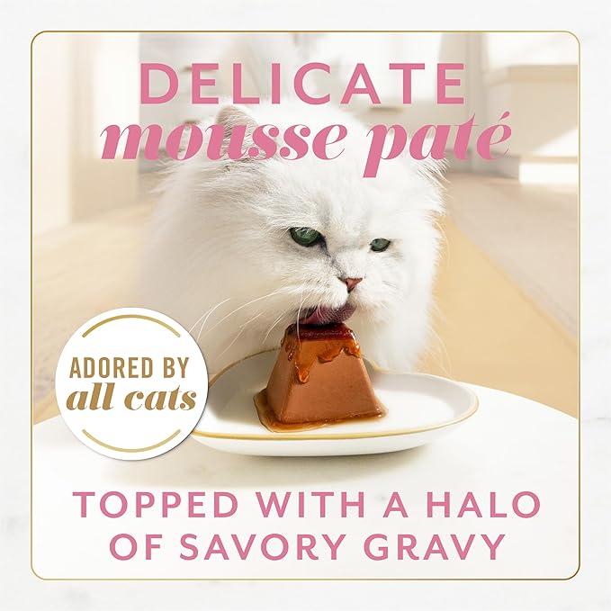 Fancy Feast Gems Pate Cat Food Mousse With Salmon and a Halo of Savory Gravy Cat Food - (Pack of 8) 4 oz. Boxes-PawvioPets