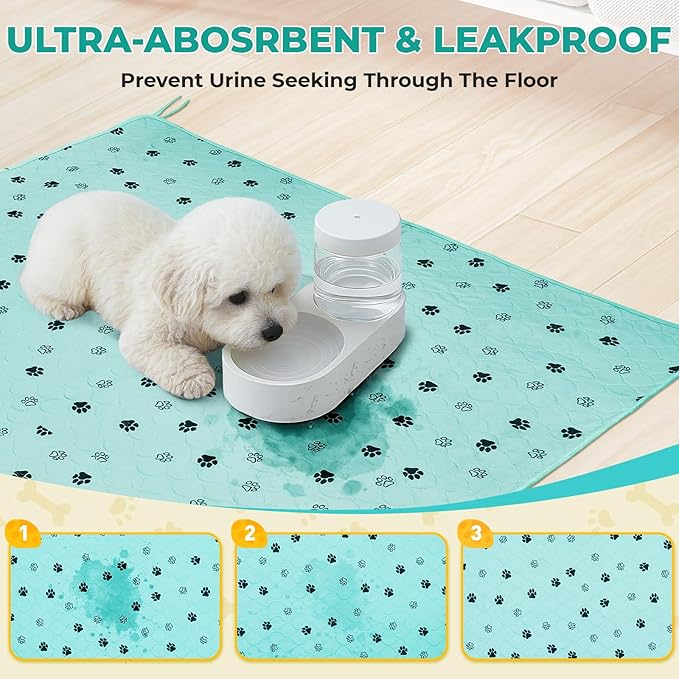 Fostanfly Washable Pee Pads for Dogs, 2 Pack Large 31"x36" Ultra-Absorbent and Leak-Proof Non-Slip Reusable Potty Training Pads for Dogs, Cats, Puppy, Potty of Add 8 Lanyards, Green-PawvioPets