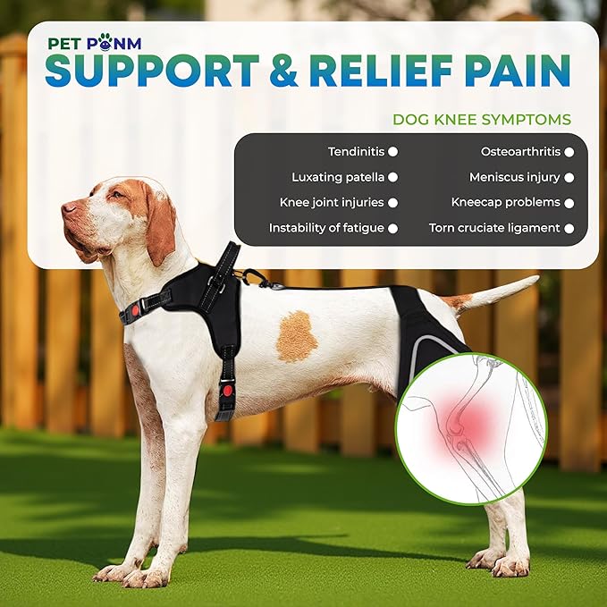 Dog ACL Knee Brace for Back Left Leg - with Integrated Harness - for Cruciate Ligament Injuries, Patellar Luxation, Post-Surgery Recovery. Durable, Breathable Material, Eases Pain - (XSmall)-PawvioPets
