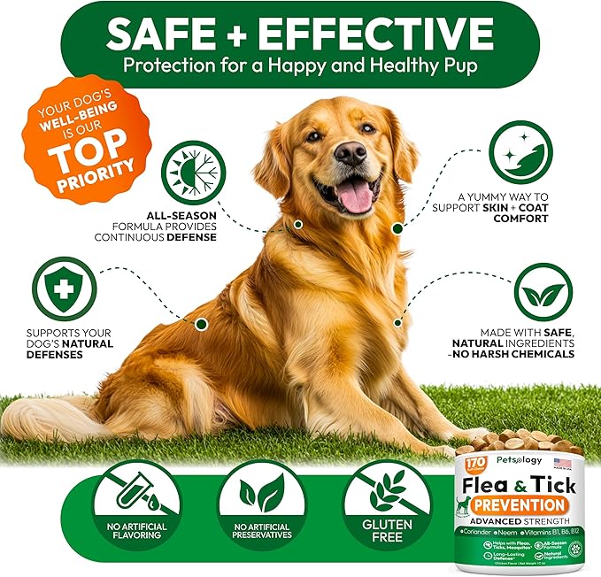 Flea and Tick Prevention for Dogs Pills - Natural Dog Flea & Tick Control - 170 Soft Chewables - Oral Defense Treatment for Dogs Supplement - Vet Formulated Chews - All Breeds & Ages - Made in USA-PawvioPets