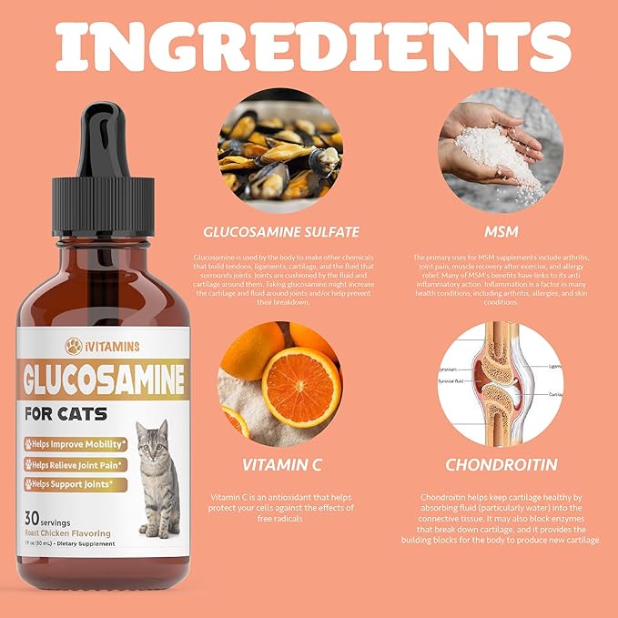 Glucosamine for Cats | Cat Glucosamine | Glucosamine for Cats Liquid | Cat Joint Supplement | Joint Supplement for Cats | Cat Joint Pain Relief | Joint Support for Cats | 1 fl oz: Chicken Flavor-PawvioPets