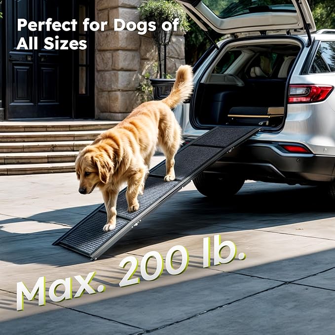 Dog Ramp for Car, 63" Folding Pet Ramp for Large Dogs up to 200 lb, 17" Wide Car Ramp for Dog, Portable Pet Stair Ramp with Nonslip Rug Surface, Outdoor Dog Ramp for Truck SUV High Bed Couch-PawvioPets