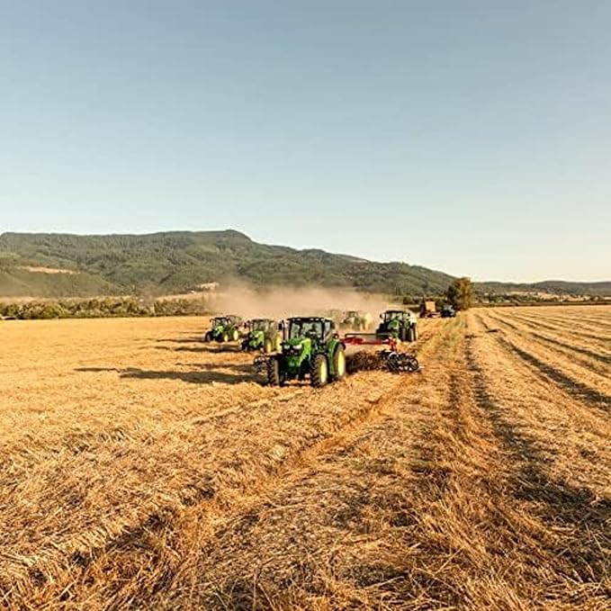 Blue Mountain Hay | Fresh 2nd Cutting Timothy Grass Hay (25 Pounds) | Soft & Leafy, Balanced Nutrition | High-Altitude Hay Pet Food for Adult Rabbits, Guinea Pigs, Chinchillas, and Other Small Pets-PawvioPets