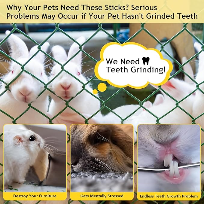 600g Organic Apple Sticks Small Animals Molar Wood Treats Toys for Chinchillas Guinea Pig Rabbits Hamster Gerbil Parrot Bunny Chew Stick Toys, 21.2 OZ-PawvioPets