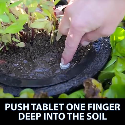 CrystalClear Thrive Aquatic Pond Plant Food, Fish Safe Water Garden Fertilizer, Nutrients Boost Lily & Lotus Flower Bloom & Root Growth, 60 Tablets-PawvioPets