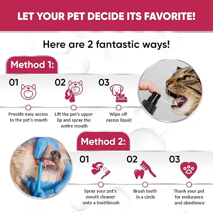 Dental Spray for Pets – Cat & Dog Breath Freshener That Helps with Tartar, Plaque, & Bad Odor – Silver 50 PPM + Valerian Flavour for Dog Teeth Cleaning – 4 Oz-PawvioPets