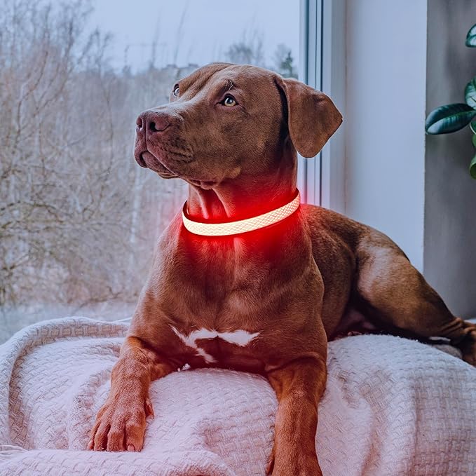 Flashseen LED Dog Collar, Light Up Dog Collar USB Rechargeable, Brightest Dog Lights for Night Walking, Adjustable Dog Collar Light for Dog Safety(Small, Ruby Red)-PawvioPets