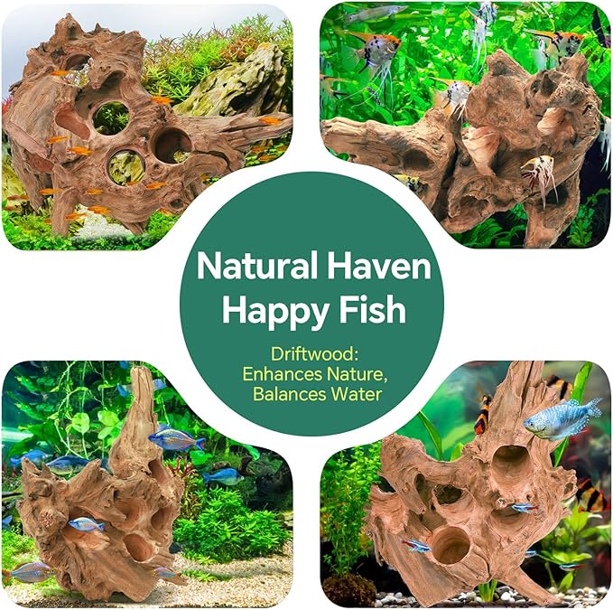 Driftwood for Aquarium Natural Aquarium Wood for Aquascaping Fish Tank Decorations Reptile Tank Decor (Porous Natural Driftwood 10-16“)-PawvioPets