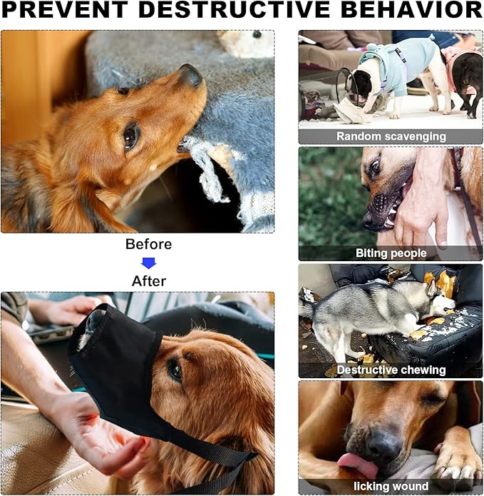 Dog First Aid Kit - Pet First Aid Kit for Dogs Pet Emergency Kit with Pets First Aid Supplies for Home Camping Hiking Traveling-PawvioPets