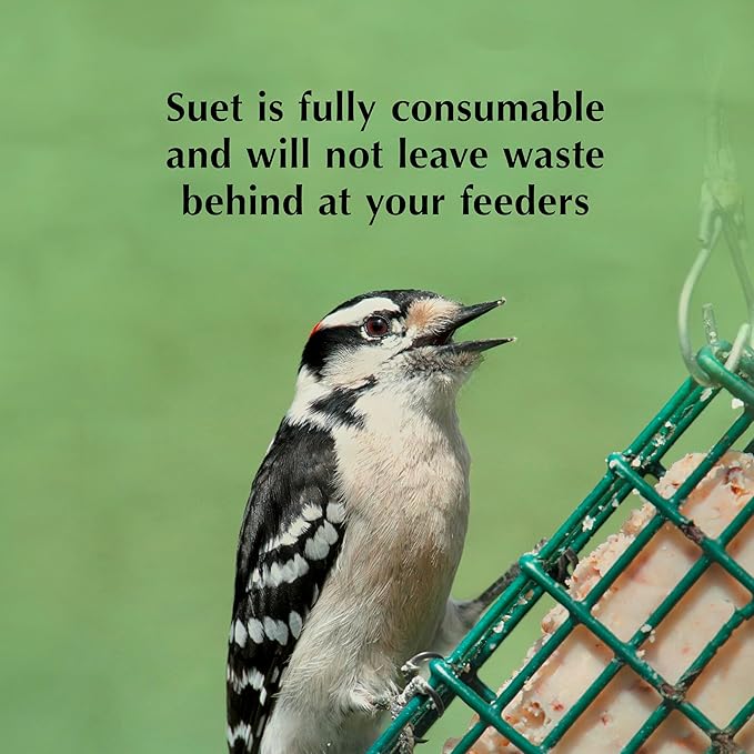 C&S Sunflower Suet Nuggets, Suet Nuggets for Wild Birds, 8 Lbs-PawvioPets