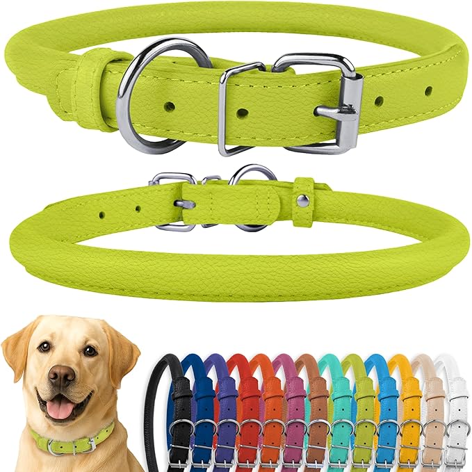 CollarDirect Rolled Leather Dog Collar, Soft Padded Round Puppy Collar, Handmade Genuine Leather Collar Dog Small Large Cat Collars 13 Colors (15-19 Inch, Lime Green Textured)-PawvioPets