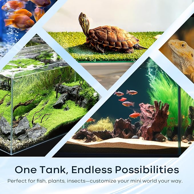 2.6 Gallon Glass Fish Tank Cube, Small Aquarium Fish Bowl for Betta Goldfish Snails Shrimp Aquatic Planting, Easy to Maintain Ultra Clear Rimless Design for Desktop Small Spaces-PawvioPets