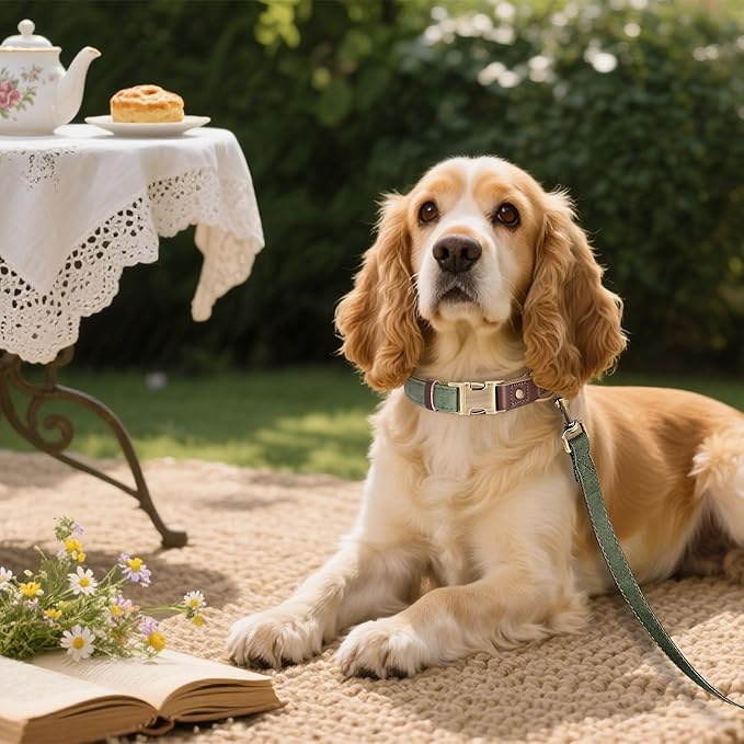 Didog Soft PU Leather Dog Collars for Medium Dogs,Classic Adjustable Dog Collars with Quick Release Metal Buckle,Easy Clean and Comfortable with Nylon Lining,Green,M Neck 13-19"-PawvioPets