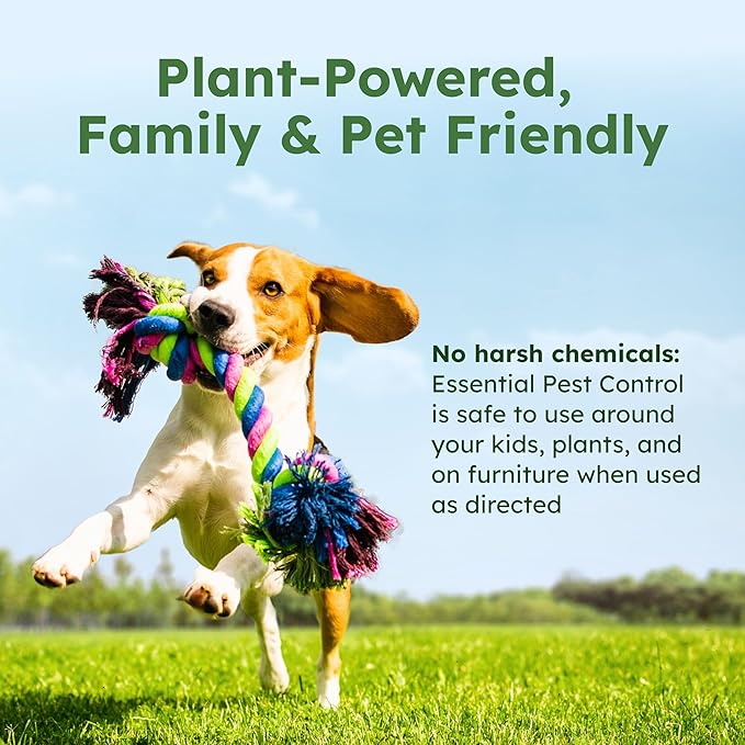 BugMD Ant Killer & Bug Spray Concentrate - Indoor Cockroach and Roach Killer, Spider Spray for Home, Fly and Insect Defense, Essential Oils, Plant-Powered, Eco-Friendly Pest Control - 3.7 Oz-PawvioPets