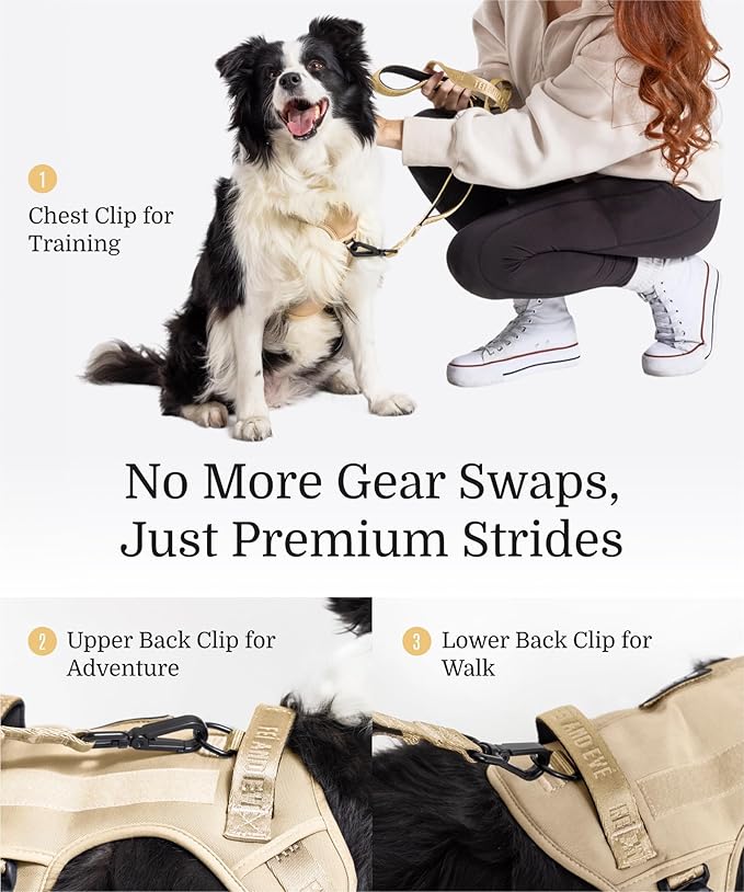 2025 New Edition, Fei & Eve MagEase Dog Harness - 3-Second Magnetic Buckles | 3-Point No-Pull Control | Heavy-Duty 900D Nylon | Dual Safety Handles | Breathable Mesh | Adjustable Fit,X-Large,Champagne-PawvioPets