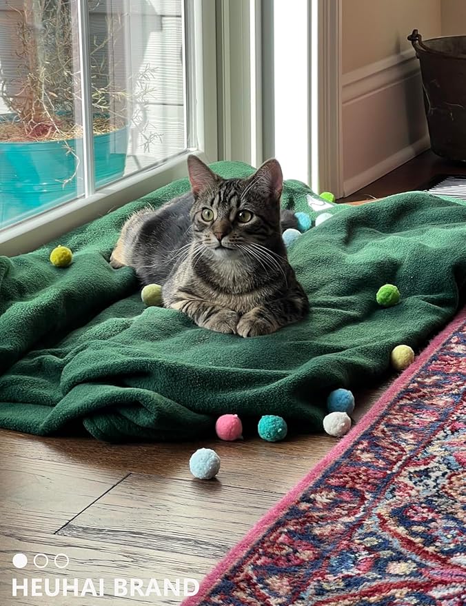 40-Pack Cat Balls – Fun Interactive Toys for Indoor Cats & Kittens (Basic Cat Toy Set)-PawvioPets