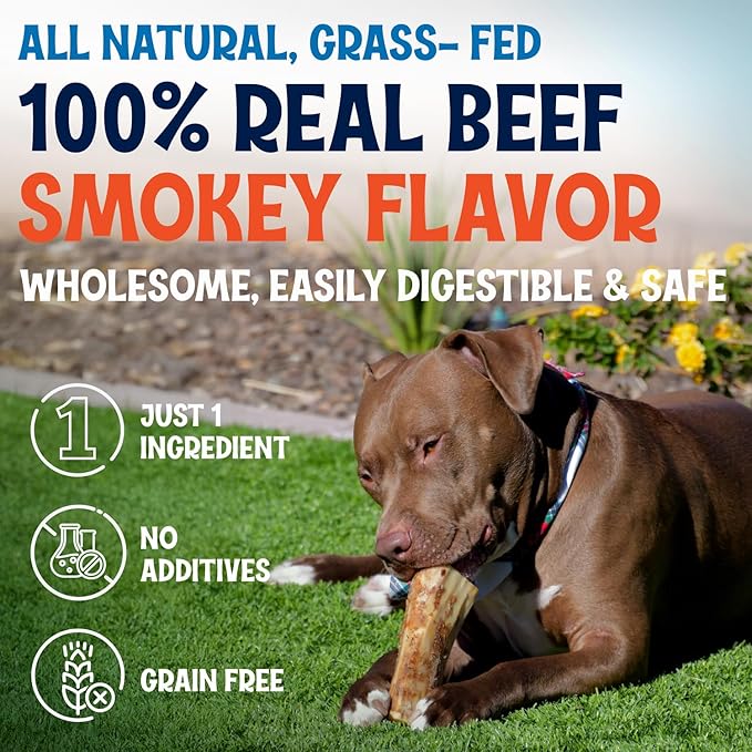 Beef Marrow Bones for Dogs, 3" Bone, Long Lasting Stuffed Treats, Tasty and Healthy Snack for Small and Medium Sized Pets, (12 Pack)-PawvioPets