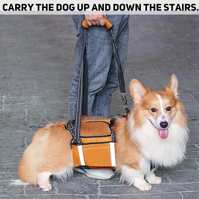 COODEO Mobility Dog Lift Harness, Emergency Carry Sling, Pet Rear Leg Support Rehabilitation Lifts Vest, Dog Carrier for Senior Dogs Joint Injuries, Arthritis (Orange, XL)-PawvioPets