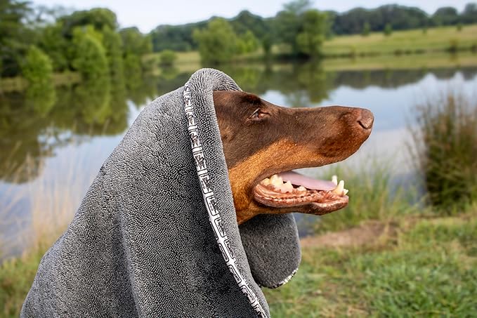 Devil Dog Premium Pet Drying Towel, Ultra-Soft, Highly Absorbent Microfiber Bath Towel for Dogs, Cats, and Other Animals - Gray, Small 16" x 24" 1200GSM 80% 20% Blend-PawvioPets