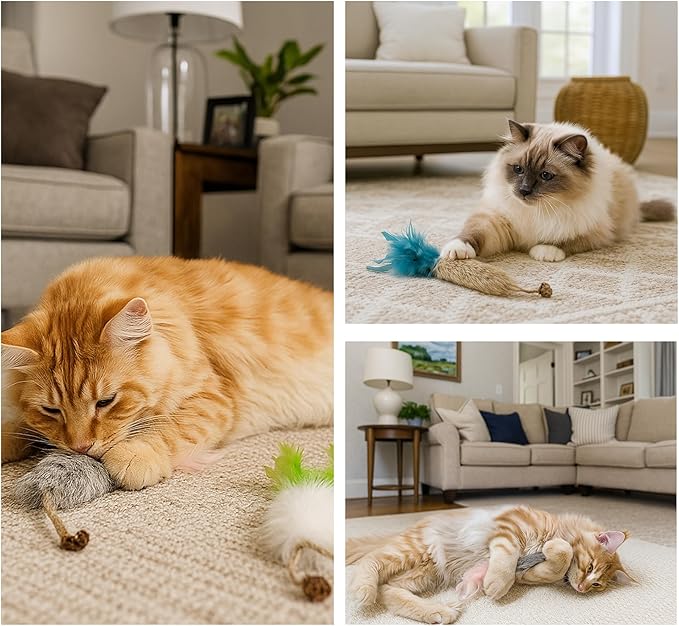 3 Pack Rabbit Fur Catnip Toys with Feathers – Interactive Carrot Cat Toys with Galls Fruit for Indoor Cats and Kittens-PawvioPets