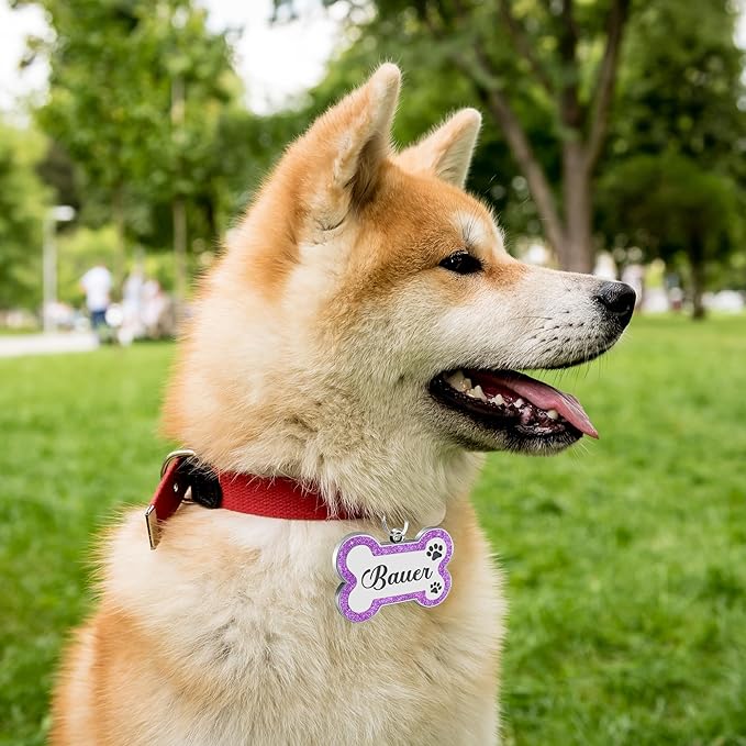 Dog Tags Personalized for Pets Dog Name Tags Personalized Dog Tag Engraved with Any Name & Text Custom Dog ID Tags Glitter Bone ID Tag for Puppy Cat (Blue S, Bone)-PawvioPets