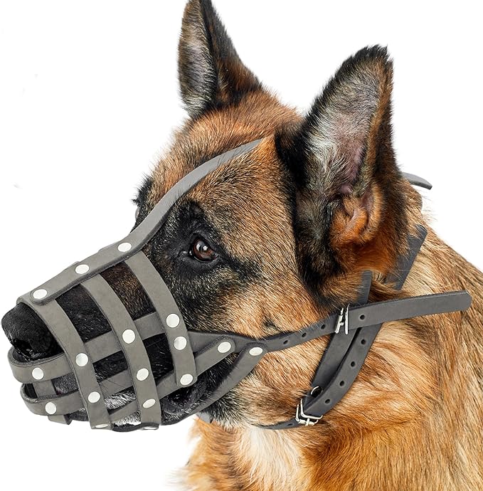 CollarDirect Dog Muzzle German Shepherd Dalmatian Doberman Setter Leather Basket Medium Large Breeds (Grey, Medium)-PawvioPets