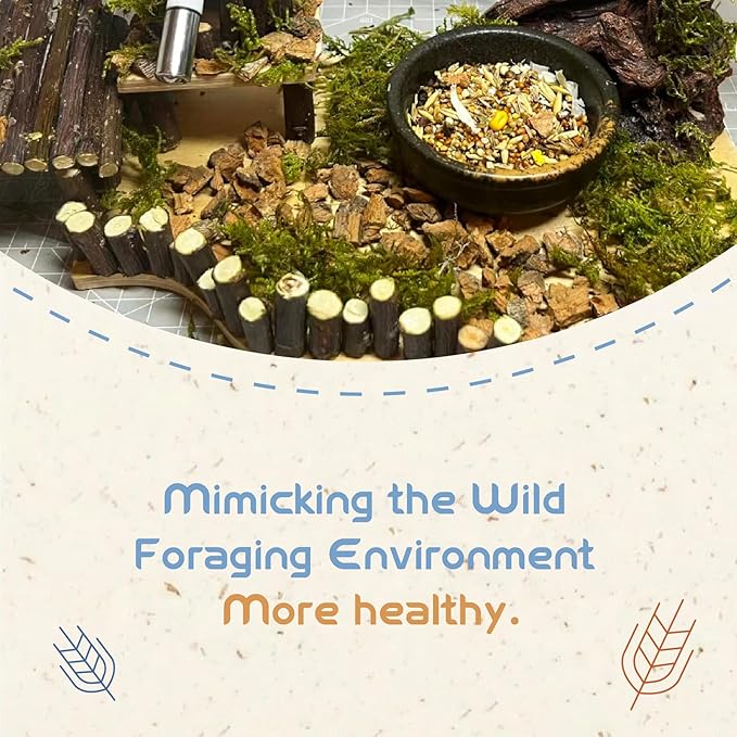 Garden Fruit & Vegetable Hamster Food Mix Natural Small Pet Food Made for Hamsters 1LB Critical Care Healthy Dwarf Hamsters Feed New Packaging-PawvioPets