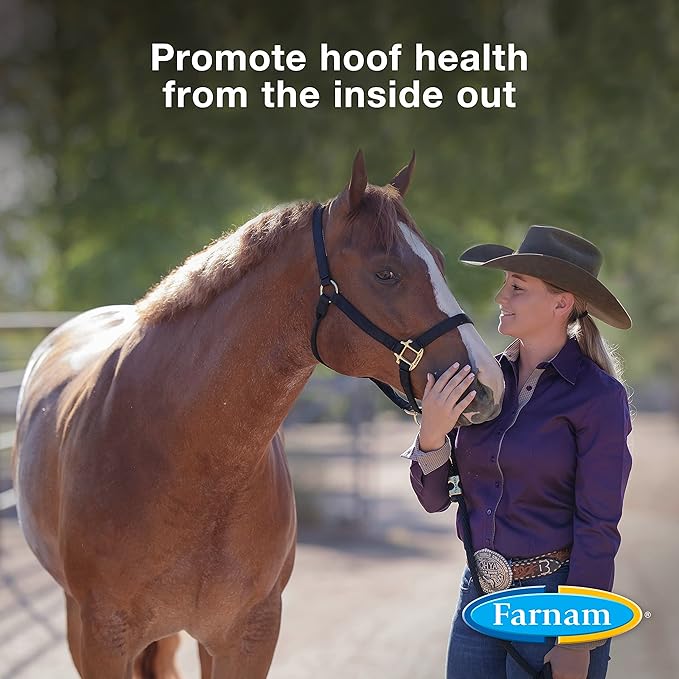 Farnam Horseshoer's Secret Pelleted Hoof Supplements, Promotes healthy hoof growth, maintains hoof walls & supports cracked hooves, 38 lbs., 100 day supply-PawvioPets