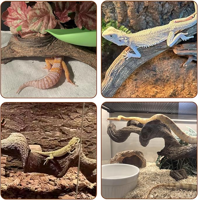 BNOSDM 3Pcs Reptile Climbing Branches Decor,Snake Climbing Branch,Gecko Climb Wood,Lizard Forest Branch,Tank Habitat Tree Trunk Decorations for Bearded Dragons,Chameleons,Spider,Frogs (L)-PawvioPets