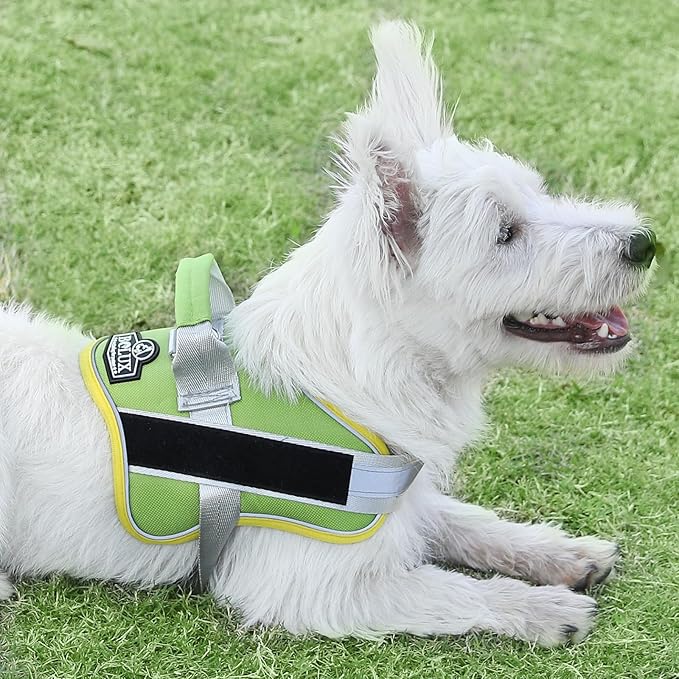Bolux Dog Harness, No-Pull Reflective Dog Vest, Breathable Adjustable Pet Harness with Handle for Outdoor Walking - No More Pulling, Tugging or Choking (X-Small (Pack of 1), GreenYellow)-PawvioPets