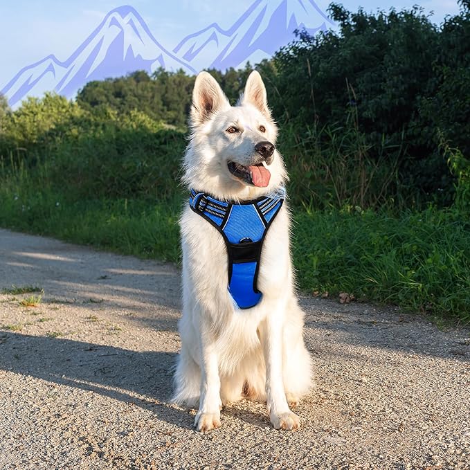 Eagloo Dog Harness for Large Dogs, No Pull Service Vest with Reflective Strips and Control Handle, Adjustable and Comfortable for Walking, No Choke Pet Harness with 2 Metal Rings, Blue, XL-PawvioPets