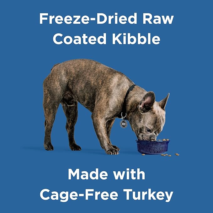BIXBI Rawbble Dry Dog Food, Turkey, 24 lbs - USA Made with Fresh Meat - No Meat Meal & No Corn, Soy or Wheat - Freeze Dried Raw Coated Dog Food - Minimally Processed for Superior Digestibility-PawvioPets