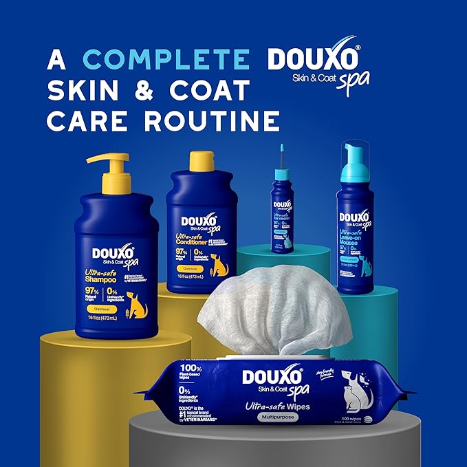 DOUXO® Skin & Coat SPA - Ultra-Safe Quick Refresh Leave-on Mousse for Dogs, 10 fl oz, Safely Cleans and Refreshes, Leaves The Coat Soft, Radiant and Smelling Great, Skin-Friendly Formula-PawvioPets