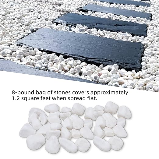 8LB 1"-2" White River Rocks for Plants, Polished Pebbles for Garden Landscaping, Planters, Aquariums, Vase Fillers – Indoor & Outdoor Decor-PawvioPets
