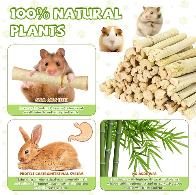 2lb Natural Sweet Bamboo Chew Toys for Small Pets - Organic Molar Sticks with Xylose & Vitamins for Rabbit, Guinea Pig, Hamster - Dental Care & Chewing Entertainment-PawvioPets