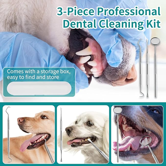 Dog Plaque Tartar Remover, Electric Toothbrush Teeth Cleaner Dental Care Kit for Dogs Cats- 5 Modes LED IPX6 Waterproof Auto-Stop Gum Protection USB Charge, 3 Brush Heads, Pet Teeth Cleaning Tools-PawvioPets