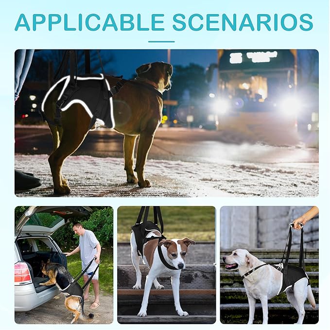 Dog Hip Support Brace – Rear Leg Lift Harness for Mobility & Post-Surgery Recovery, with Chest Straps and Adjustable Elastic Buckles, Customization-PawvioPets