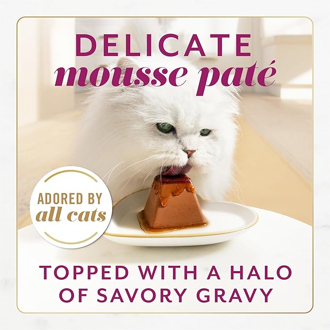 Fancy Feast Gems Pate Cat Food Mousse with Beef and a Halo of Savory Gravy Cat Food - (Pack of 8) 4 oz. Boxes-PawvioPets