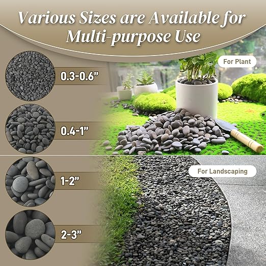 5 lbs Natural Mexican Beach Pebbles, 1-2 Inch Large River Rocks for Plants and Landscaping, Decorative Stone for Fish Tank Aquarium Fountain Garden Paving Walkways Pathways Backyard, Grey-PawvioPets