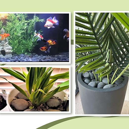 7LB River Rocks,Mexican Beach Pebbles for Plants,Potting,Garden Landscape Stone Paving Stone Grey 1Inch - 2Inch-PawvioPets