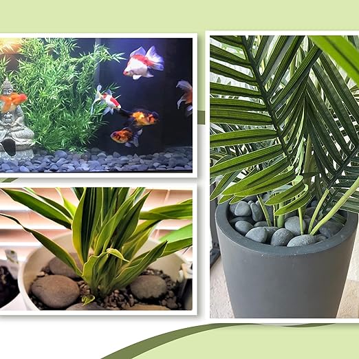 45LB River Rocks,Mexican Beach Pebbles for Plants,Potting,Garden Landscape Stone Paving Stone Grey 1Inch - 2Inch…-PawvioPets