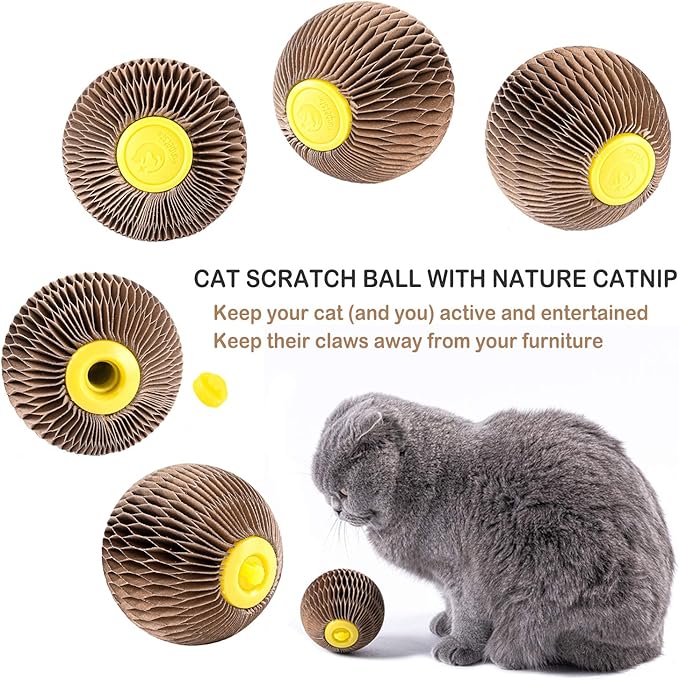 AREIIA Catnip Ball Toy for Cats Catnip Refillable Scratcher Ball Kitty's Faithful Playmate Reduce Obesity and Loneliness CSB01BR-PawvioPets