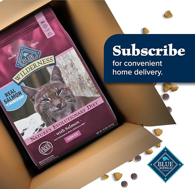 Blue Buffalo Wilderness Natural High Protein, Grain Free Dry Food for Adult Cats, Salmon, 11-lb Bag-PawvioPets